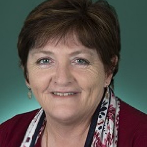 {$politician->name} profile image`
